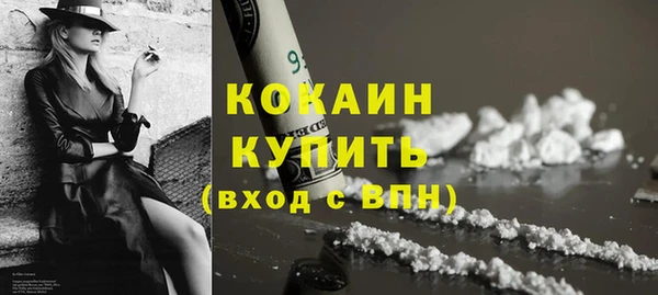 jwh Тайга