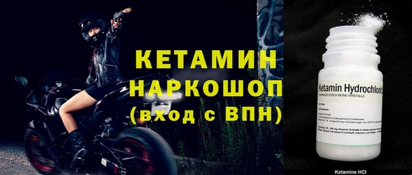 jwh Тайга
