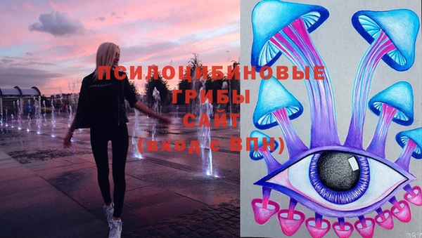 jwh Тайга