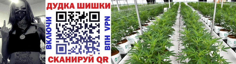 Марихуана Ganja  Ярославль 